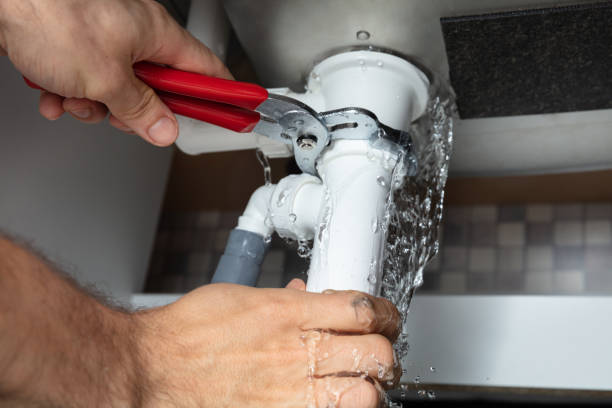 Best Water damage contractors near me  in New Athens, IL