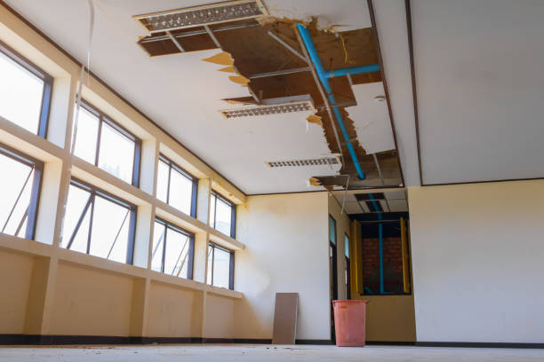 Best Basement water damage restoration  in New Athens, IL