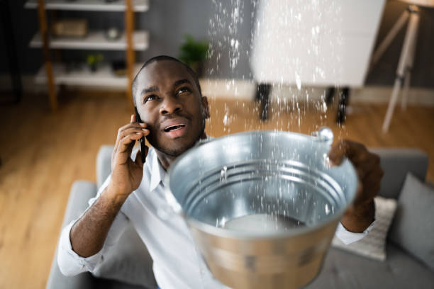 Best Water damage cleanup near me  in New Athens, IL