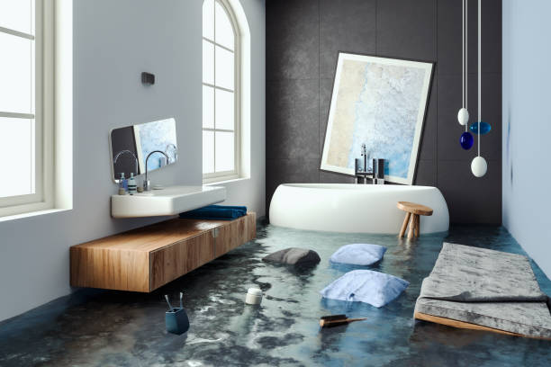 Best Carpet water damage restoration  in New Athens, IL