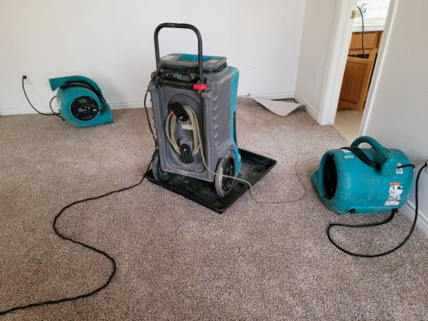 Best Flood restoration services  in New Athens, IL