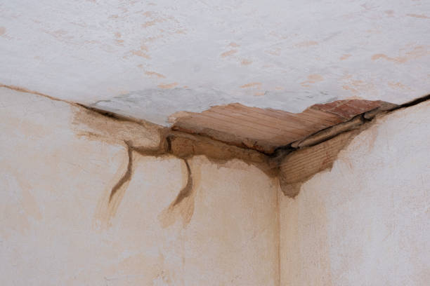 Best Flood damage cleanup  in New Athens, IL
