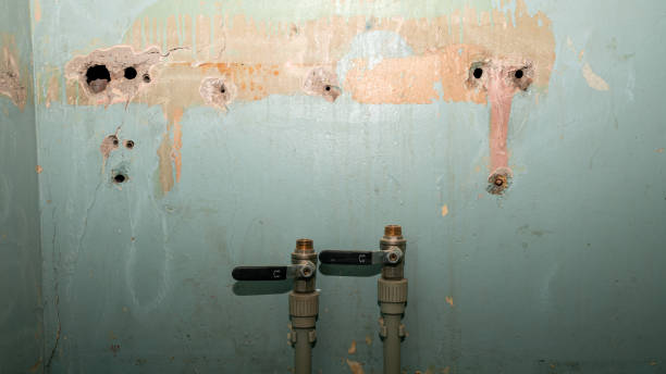 Best Sewage cleanup and water damage restoration  in New Athens, IL