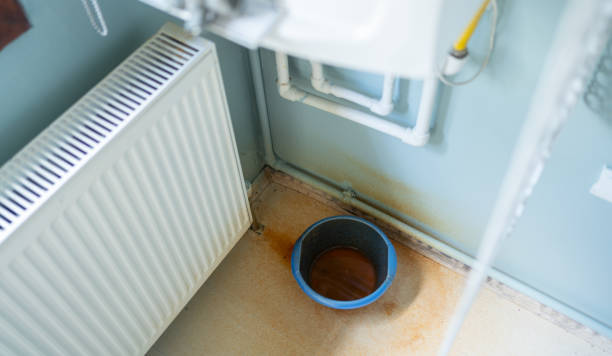Best Sewage cleanup and water damage restoration  in New Athens, IL